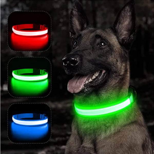 Dog Anti-Lost LED Light Collar
