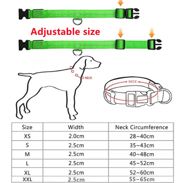 Dog Anti-Lost LED Light Collar