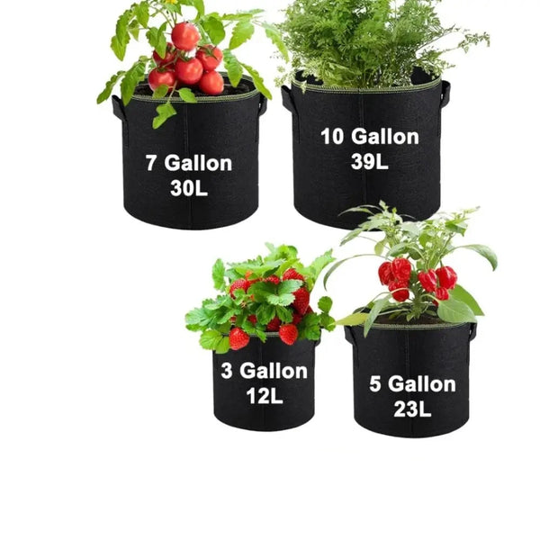 Vegetable Strawberry Growing Planter