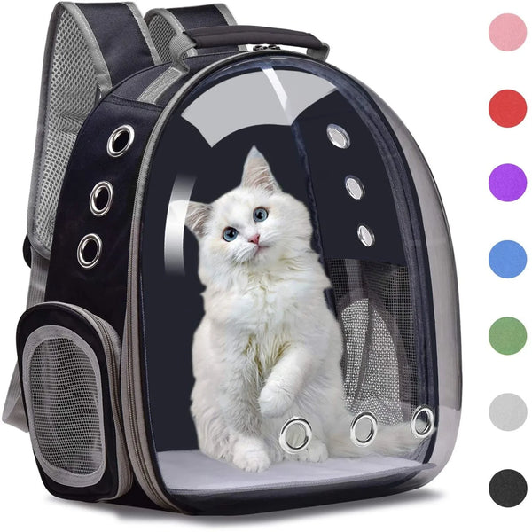 Cat Breathable Transparent Travel Bag