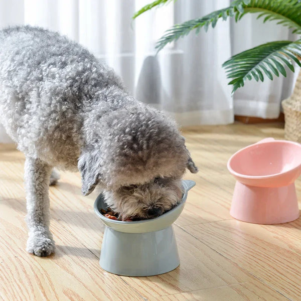Pet Feeder Cup Water Food Bowl