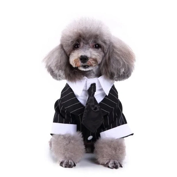 Cute Dog Tailcoat Suit