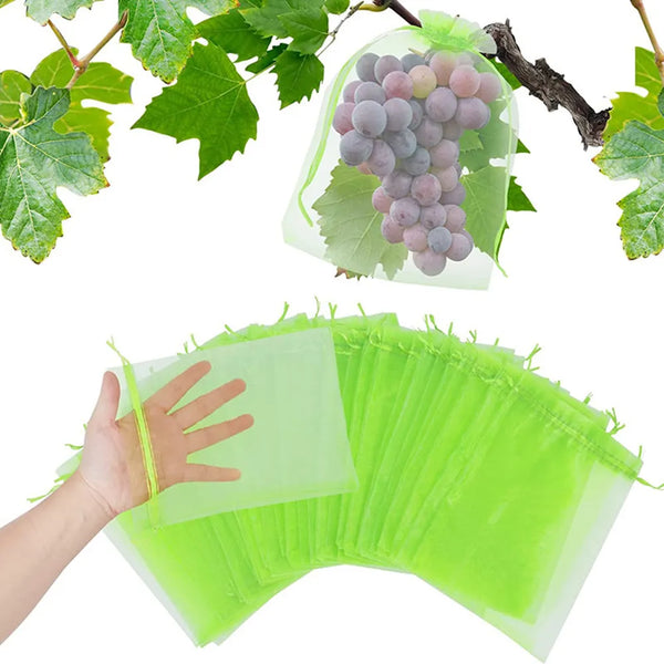 Grapes Fruit Anti-Bird Netting Bag